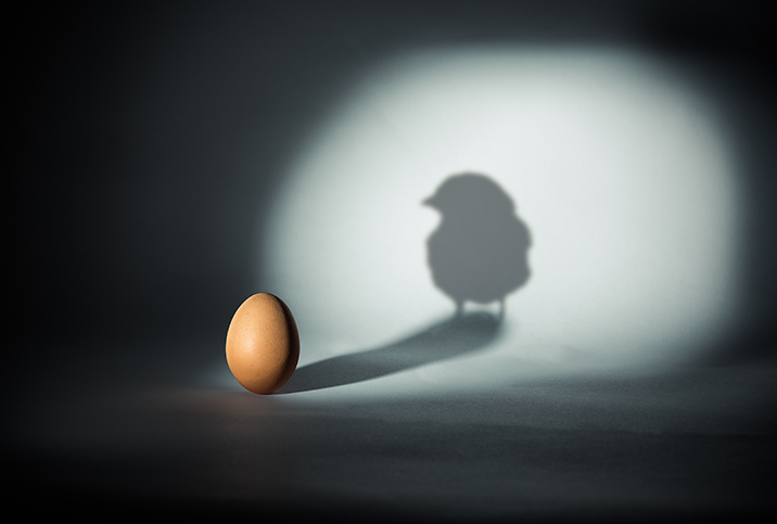 An egg under a spotlight casts a shadow of a chick against the wall.