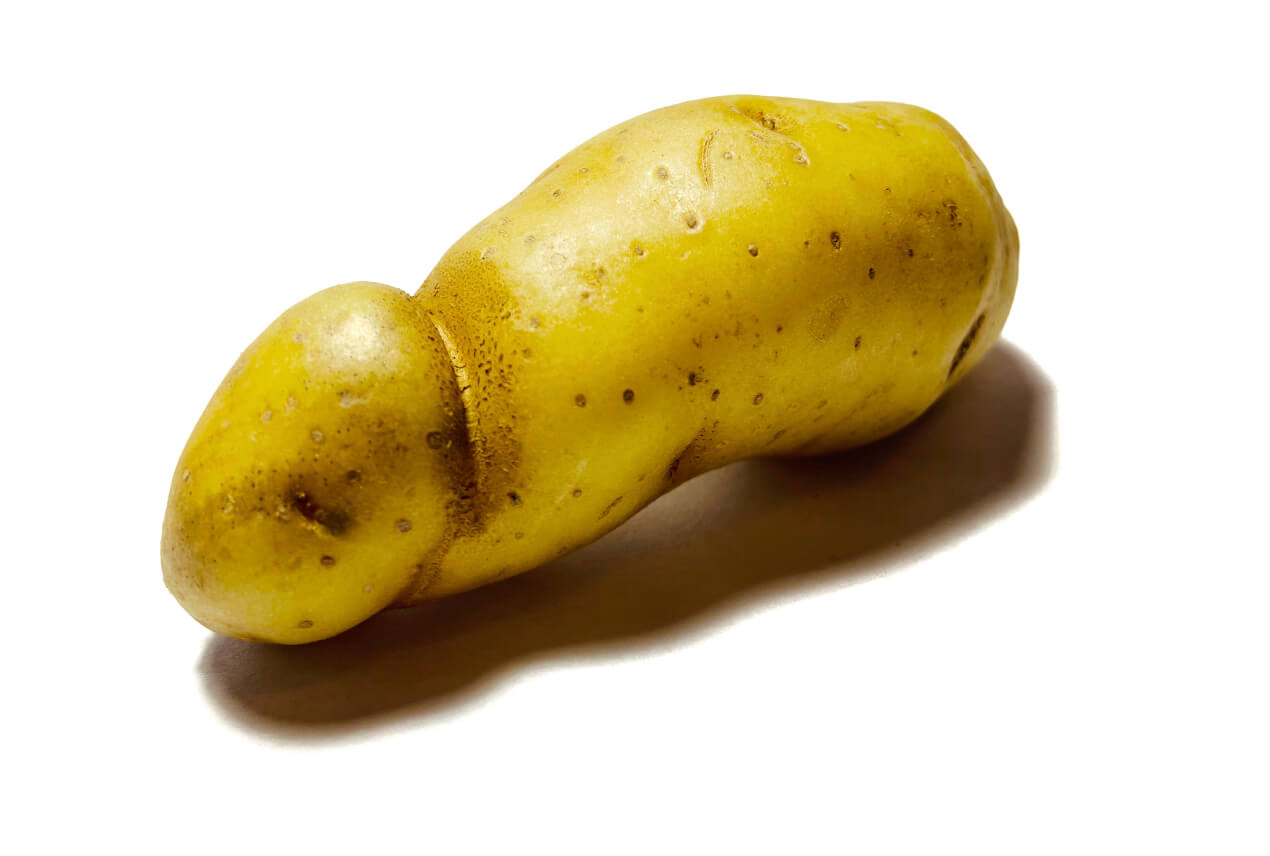 A penis-potato sits on a white surface and casts a shadow below it.