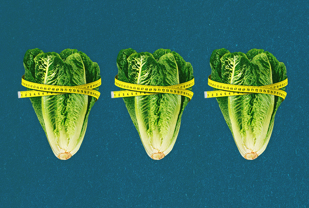 Three heads of cabbage are lined up in a row with measuring tape wrapped around each one.