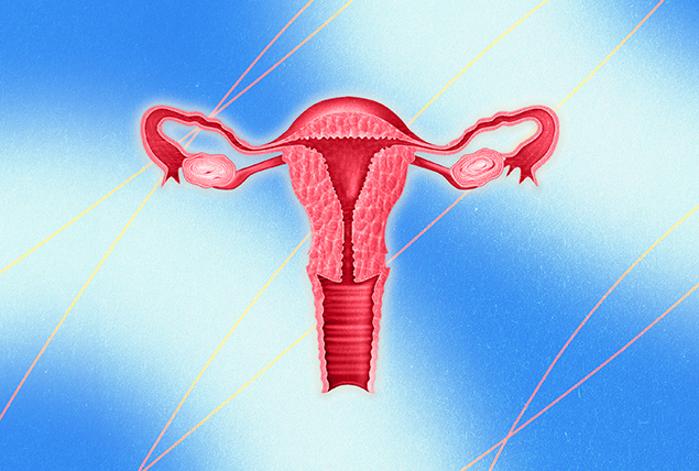 A pink female reproductive system is against a blue and white background.