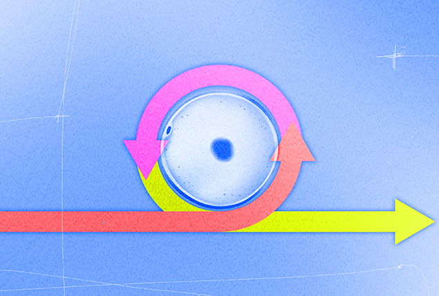 red, pink and lime green arrows circle around human egg on light blue background