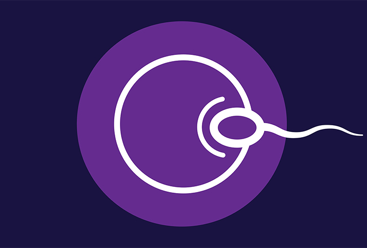 A solid purple circle has an egg and sperm drawn on top in white. 