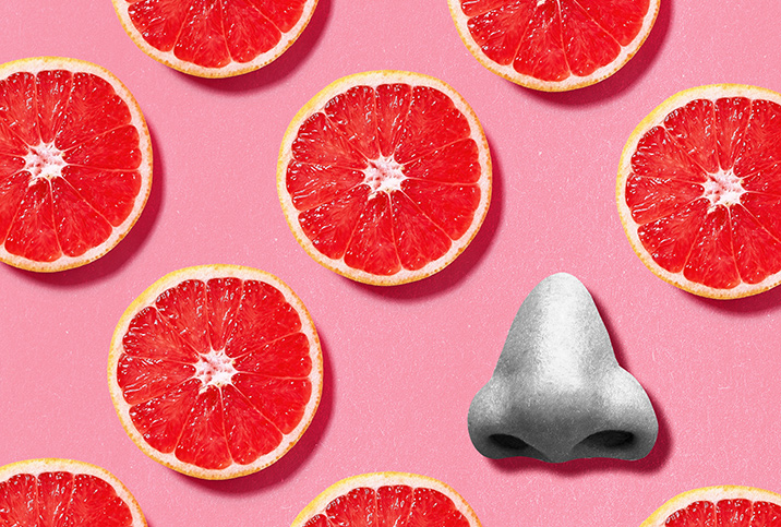 Slices of grapefruit lay against a pink background next to a grey nose.