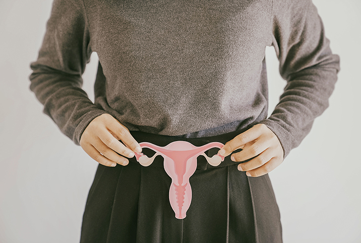 A person in a grey shirt and black pleated pants holds a cut out of a female reproductive system over their low belly.