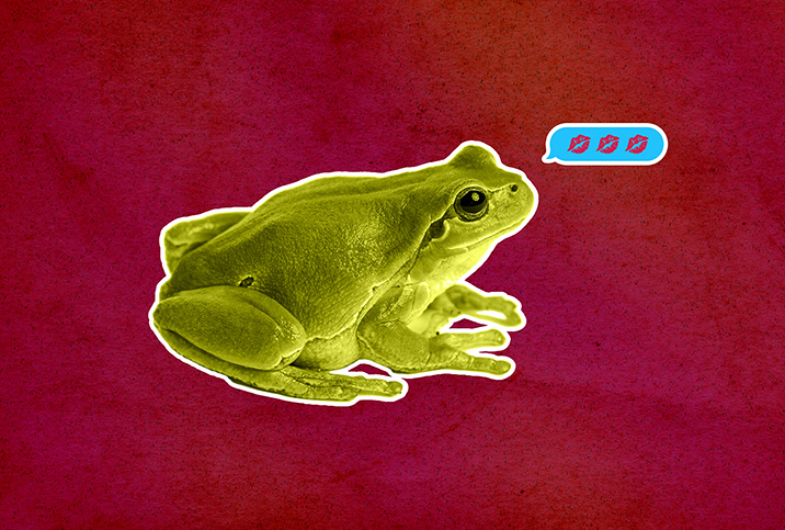 A green frog sits on a dark red background with a text bubble full of lips emojis above its head.