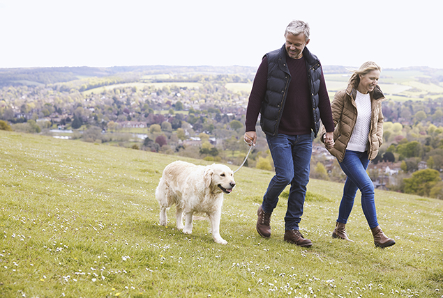 couple holds hands and walks along grassy hill with their dog