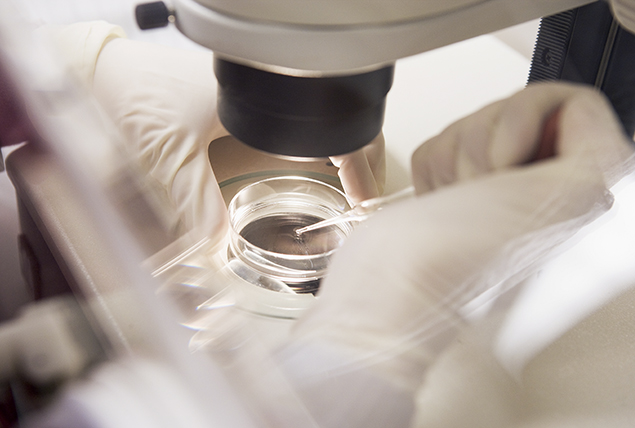 white gloved hand with pipette puts clear liquid into petri dish on microscope